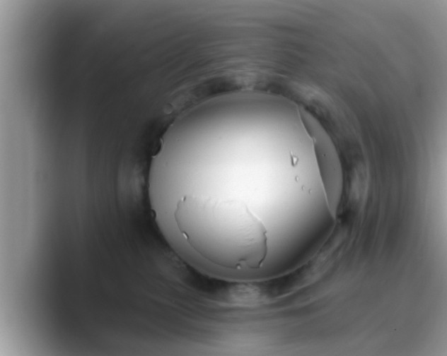 X0000089880279200707051216