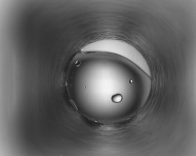 X0000089880280200707051216