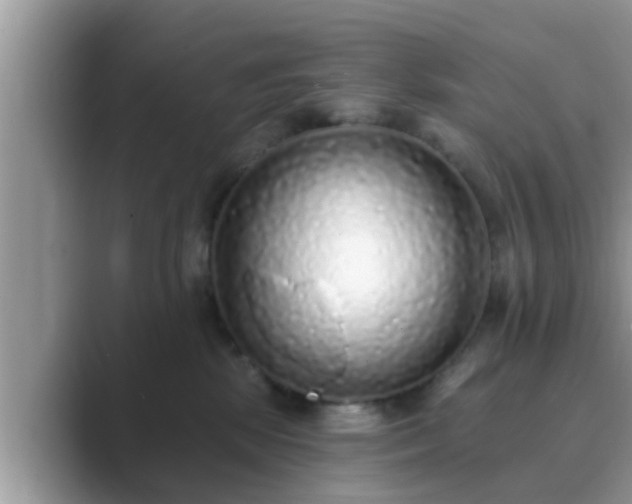 X0000089880281200707051216