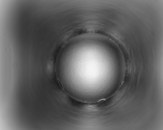 X0000089880283200707051216