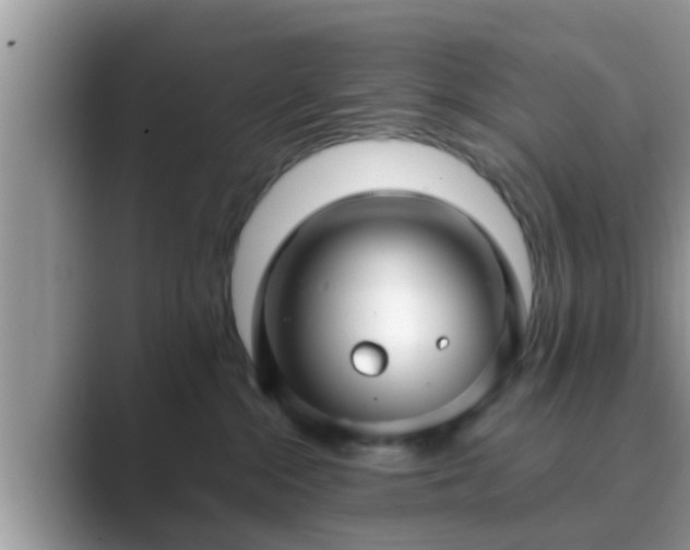 X0000089880284200707051216