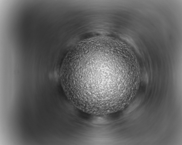 X0000089880285200707051216