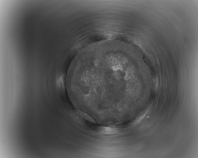 X0000089880286200707051216