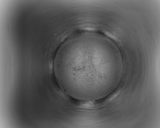 X0000089880288200707051216