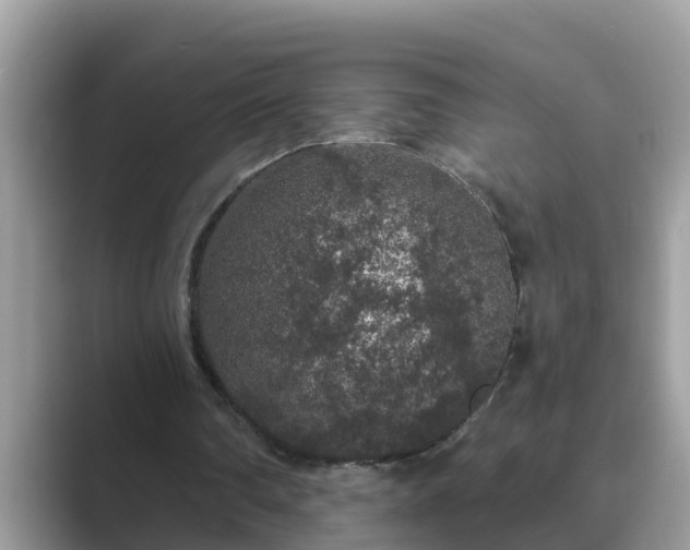 X0000089880290200707051215