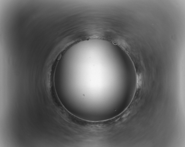 X0000089880291200707051215