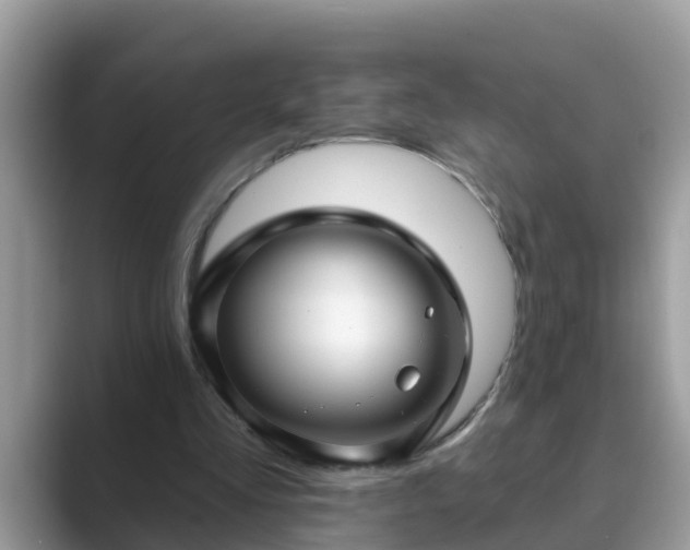 X0000089880293200707051215