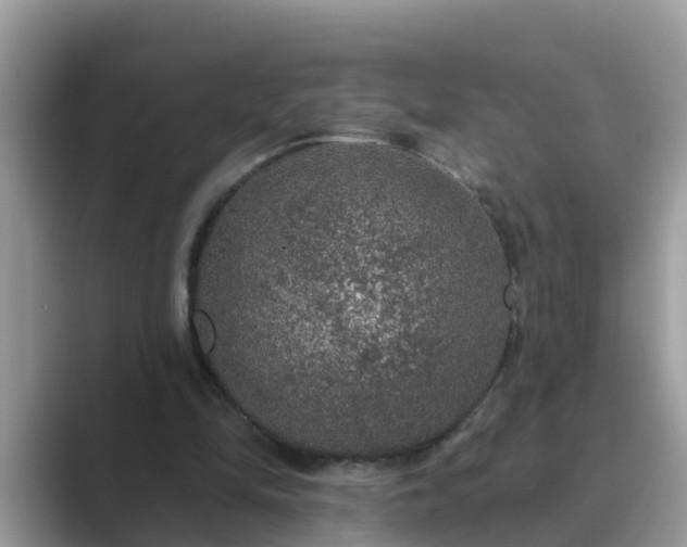 X0000089880294200707051215