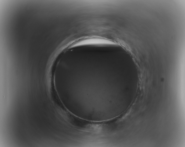 X0000089880295200707051215