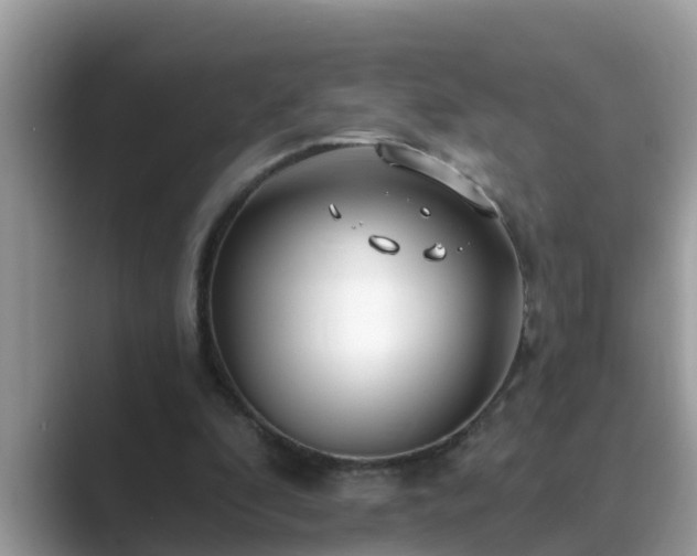 X0000089880296200707051215