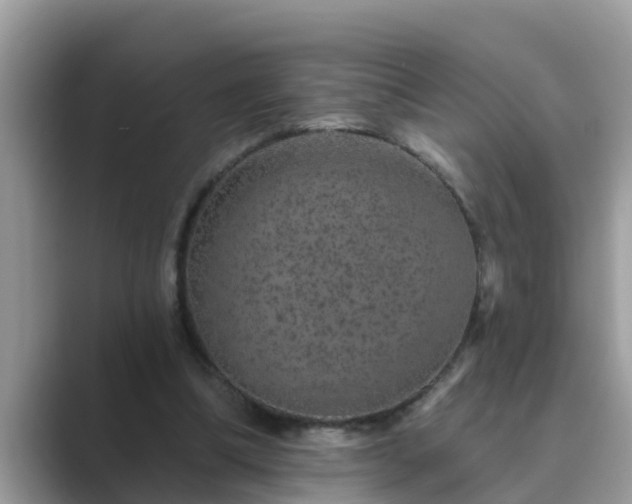 X0000089880298200707051215