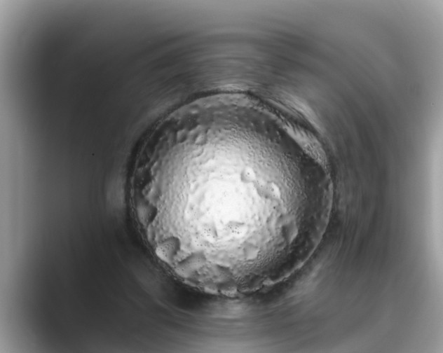 X0000089880299200707051215