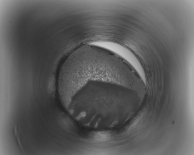 X0000089880303200707051215