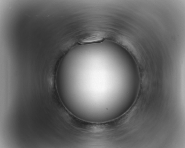 X0000089880305200707051215