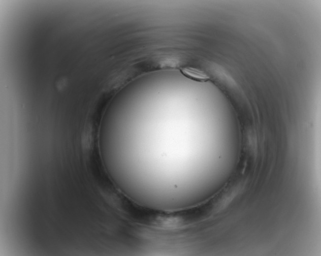 X0000089880311200707051215