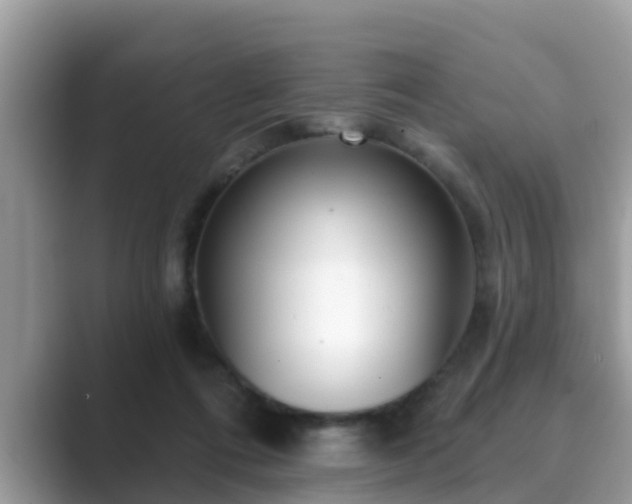 X0000089880312200707051215