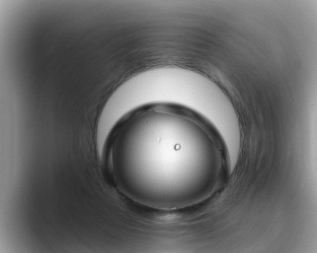 X0000089880313200707051215