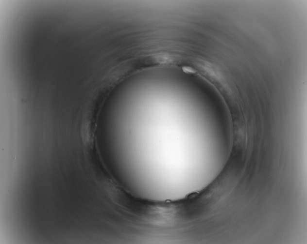 X0000089880317200707051215