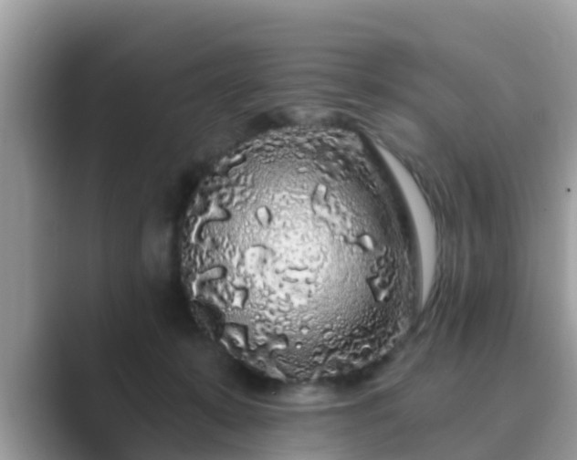 X0000089880319200707051215