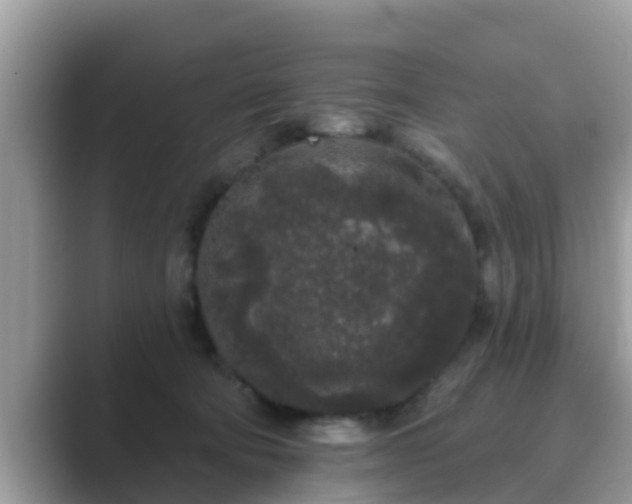 X0000089880322200707051215