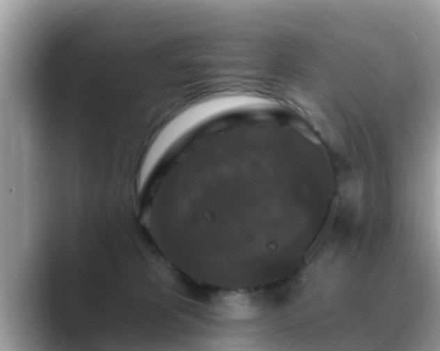 X0000089880325200707051215