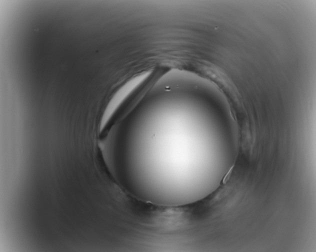 X0000089880329200707051215