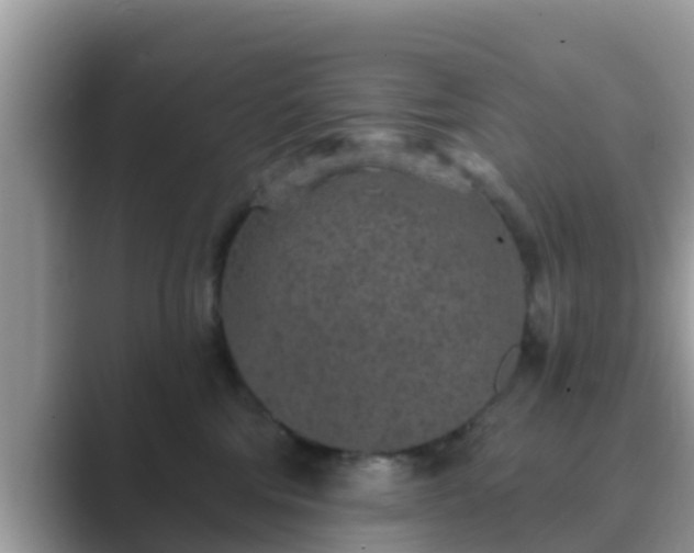 X0000089880330200707051215