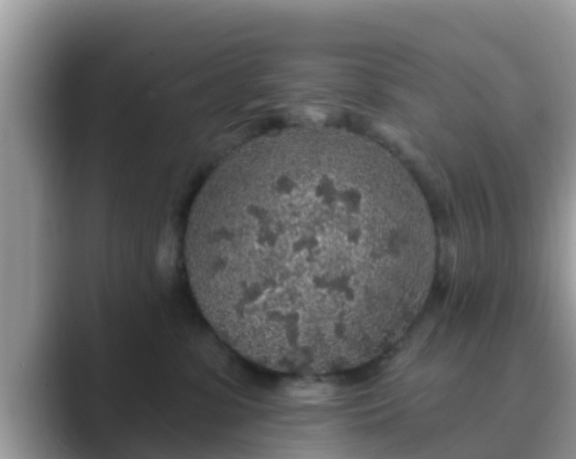 X0000089880331200707051215