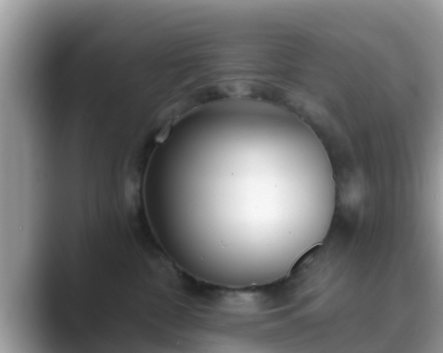 X0000089880332200707051215