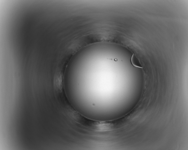 X0000089880336200707051215