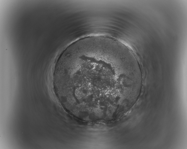 X0000089880337200707051214