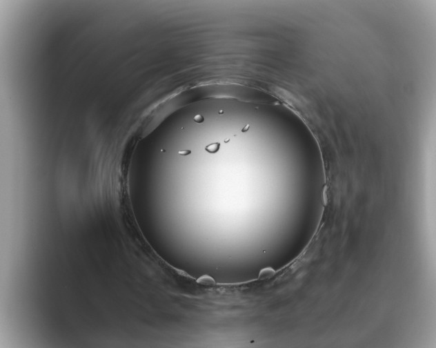 X0000089880338200707051214