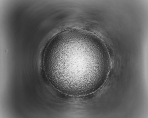 X0000089880339200707051214