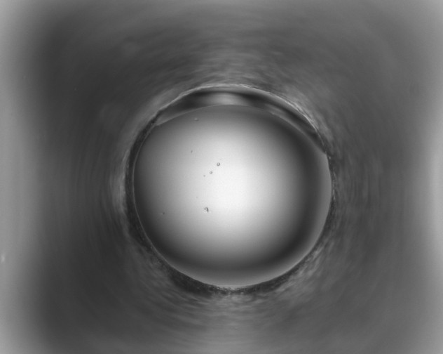 X0000089880340200707051214