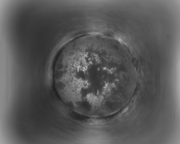 X0000089880343200707051214