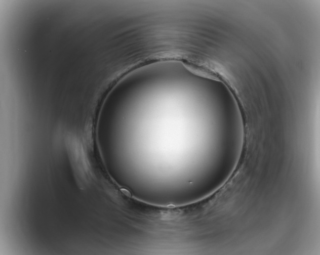 X0000089880345200707051214