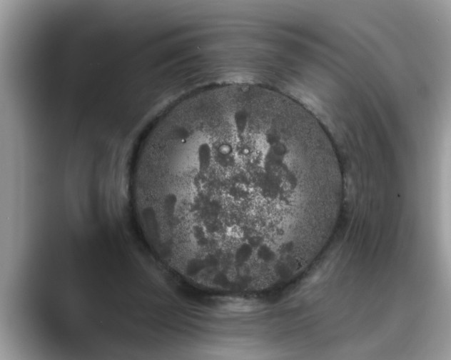 X0000089880347200707051214