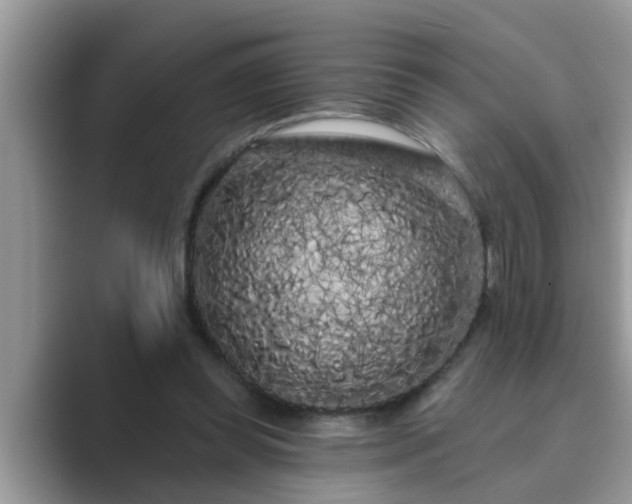 X0000089880349200707051214