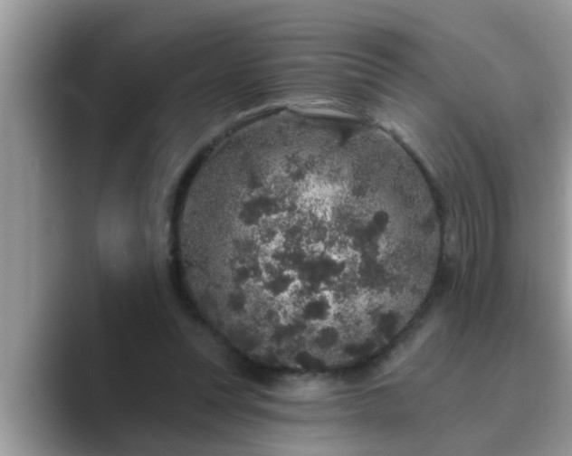 X0000089880351200707051214