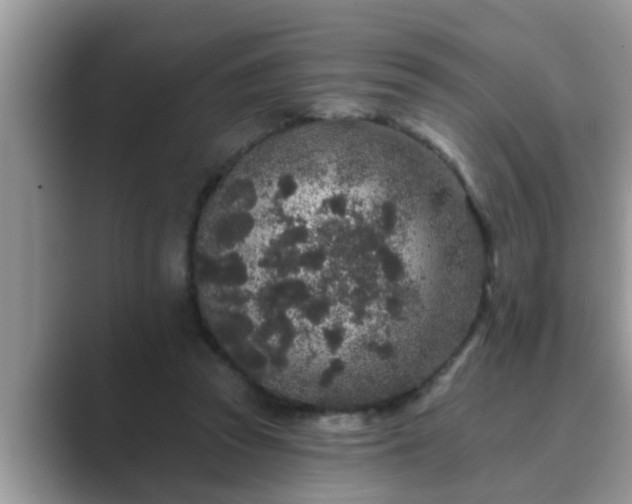 X0000089880353200707051214