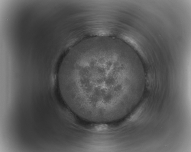 X0000089880355200707051214