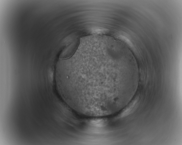 X0000089880357200707051214