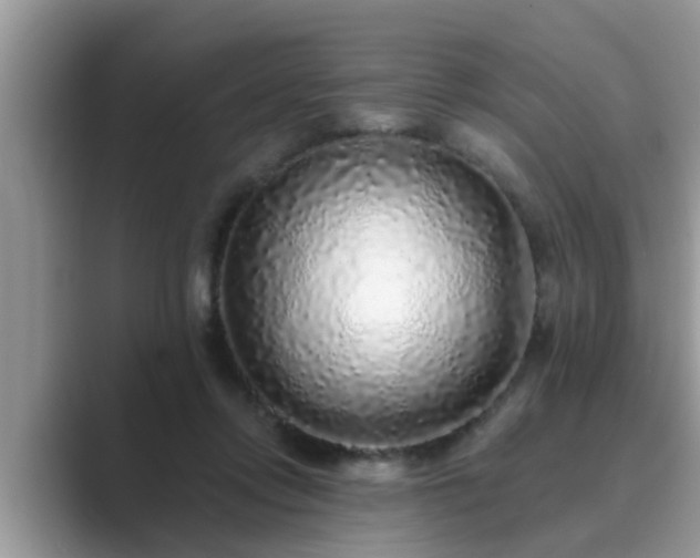 X0000089880358200707051214