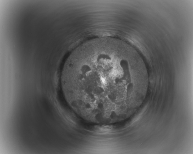 X0000089880359200707051214