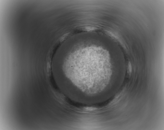 X0000089880360200707051214