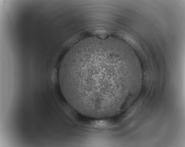 X0000089880361200707051214