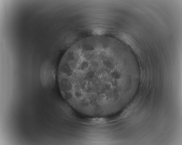 X0000089880363200707051214