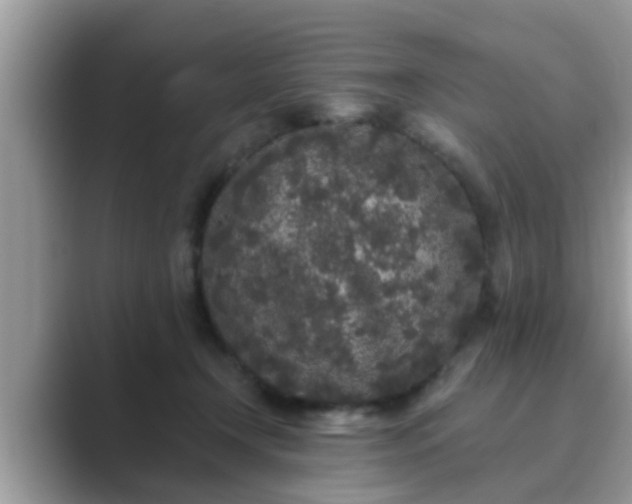 X0000089880366200707051214