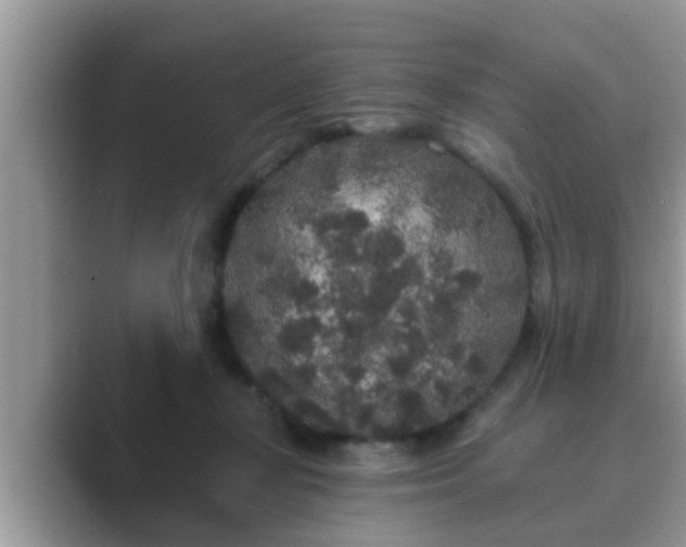 X0000089880367200707051214