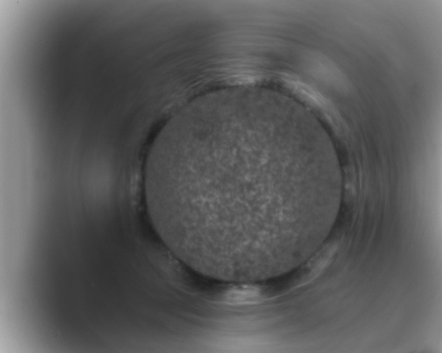 X0000089880369200707051214